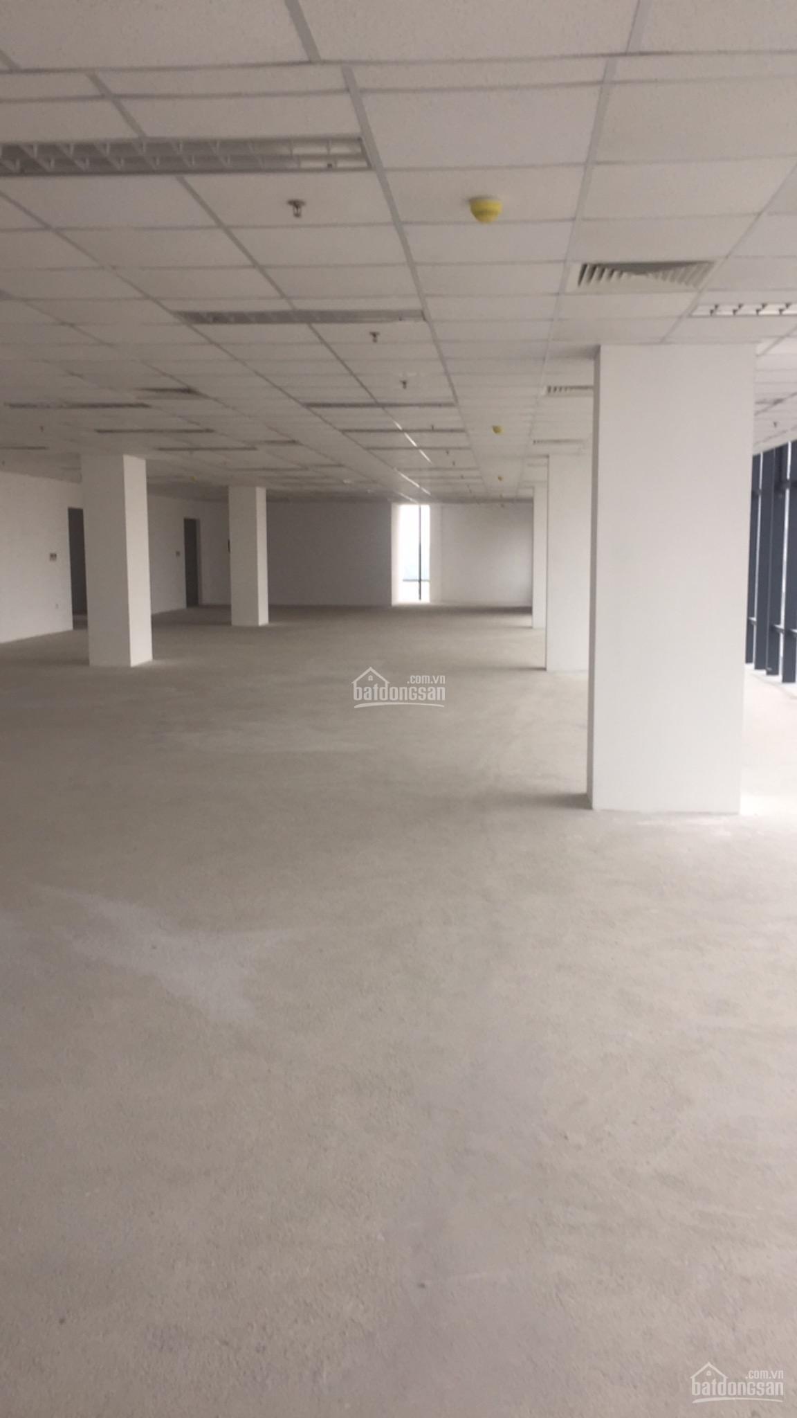 Cho thuê văn phòng tòa SJC 196 Đại La 100m2, 160m2, 300m2... 800m2, giá 140k/m2/th