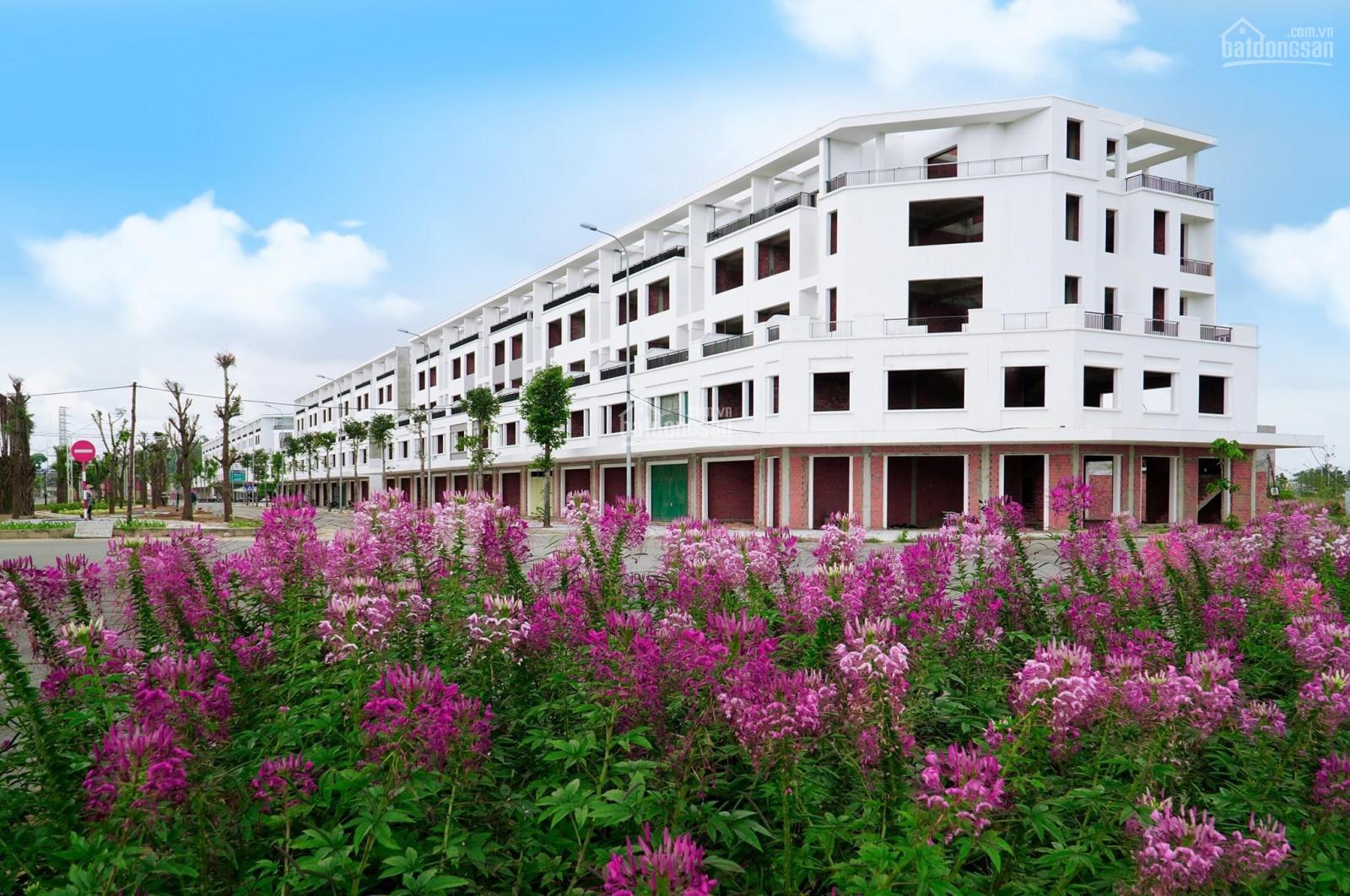 Giỏ hàng độc quyền - khu đô thị Phú Mỹ, đường 17,5m, sổ sẵn, hỗ trợ vay 80%. Giỏ hàng độc quyền - khu đô thị Phú Mỹ, đường 17,5m, sổ sẵn, hỗ trợ vay 80%.