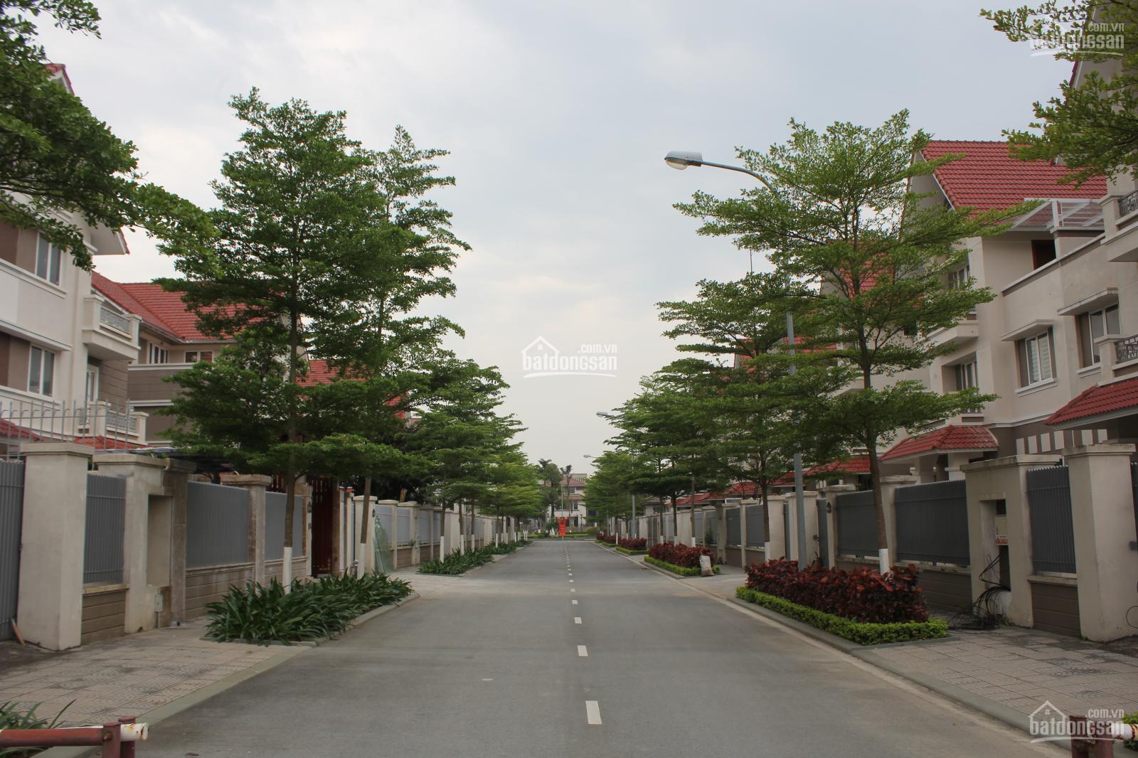 Cho thuê căn liền kề khu đô thị mới An Hưng có nền, nhà vệ sinh, điện nước 6tr/tháng. LH 0904 333 *** Cho thuê căn liền kề khu đô thị mới An Hưng có nền, nhà vệ sinh, điện nước 6tr/tháng. LH 0904 333 ***