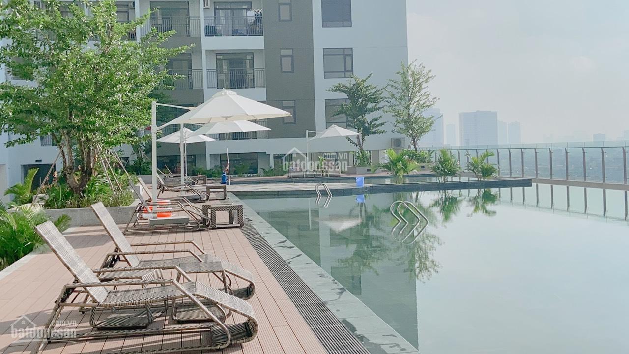 Cần cho thuê căn hộ Central Premium 854 Tạ Quang Bửu, P Chánh Hưng, TPHCM DT 51m2, 1PN, 1WC