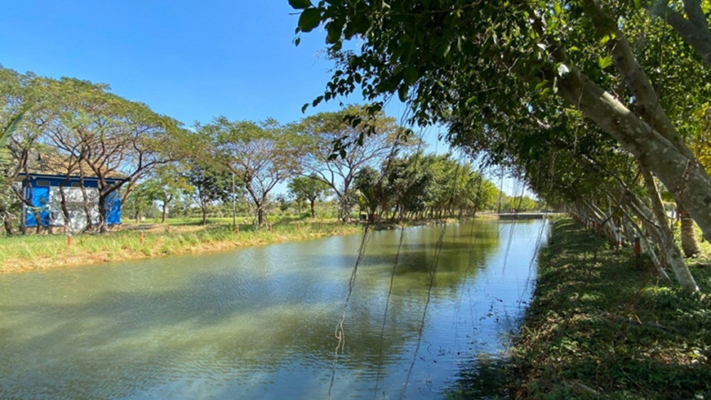 Đất nền KDC Phú Xuân - Vạn Phát Hưng DT 126m2 giá chỉ 48.5tr/m2 Alo Em Thúy Cập Nhật Thông Tin