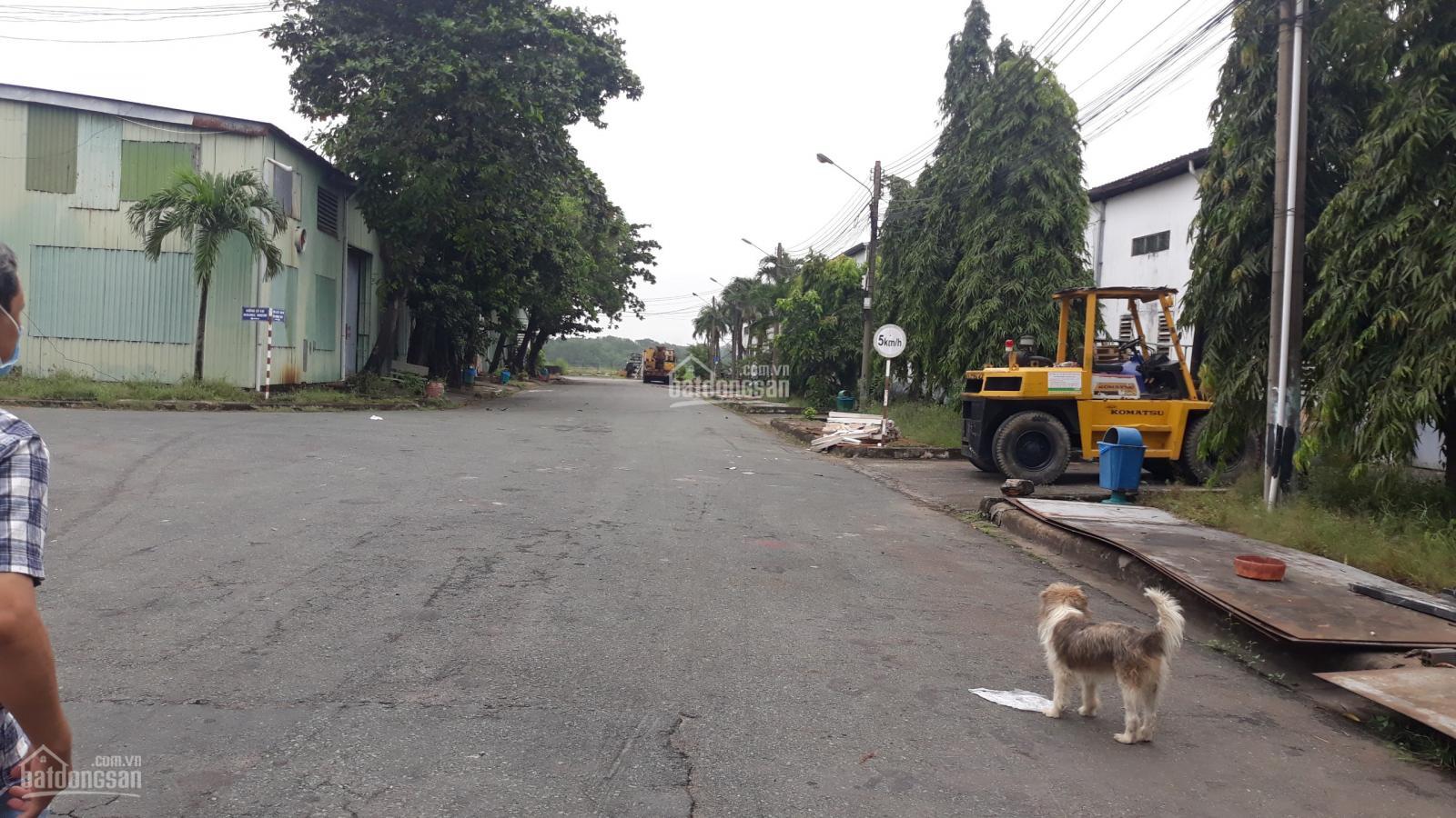 Cho thuê kho xưởng 700m2 tại Bùi Văn Ba, P. Tân Thuận Đông, Quận 7, TP. HCM. LH: 0916 302 ***