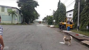 Cho thuê kho xưởng 700m2 tại Bùi Văn Ba, P. Tân Thuận Đông, Quận 7, TP. HCM. LH: 0916 302 ***