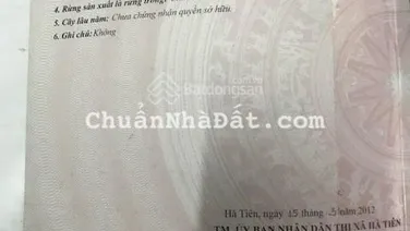 Cần bán gấp 5 triệu/ 1m2 đất mặt biển bãi tắm cát trắng Đảo Hải Tặc