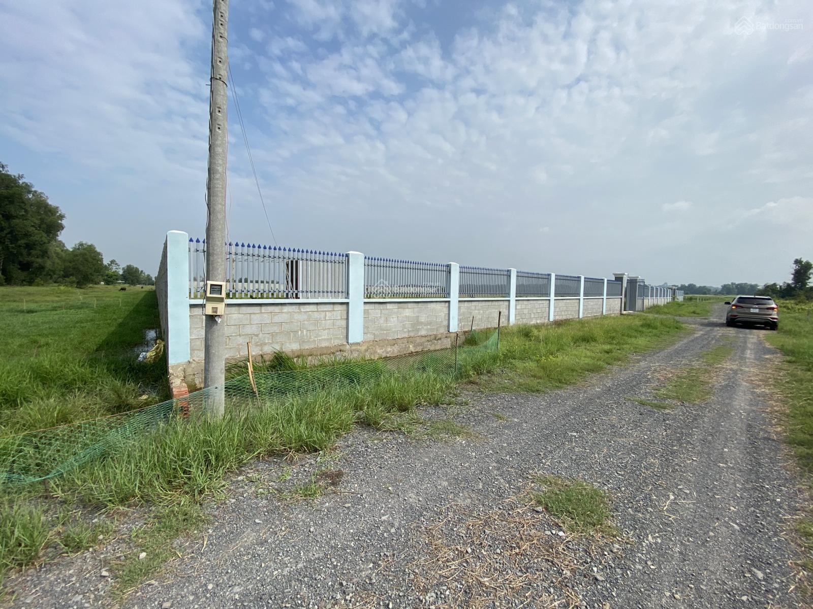 Lô đất đẹp 1330m2 tại xã Tân Phú Trung, huyện Củ Chi, tháng 4/2025 khởi công cao tốc HCM - Mộc Bài Lô đất đẹp 1330m2 tại xã Tân Phú Trung, huyện Củ Chi, tháng 4/2025 khởi công cao tốc HCM - Mộc Bài