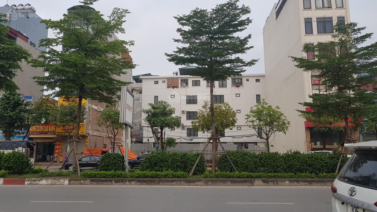 Bán 07 lô đất đấu giá Cầu Giấy, Trần Thái Tông. DT 126,8m2, MT 8,06m, phù hợp xây tòa văn phòng, KS