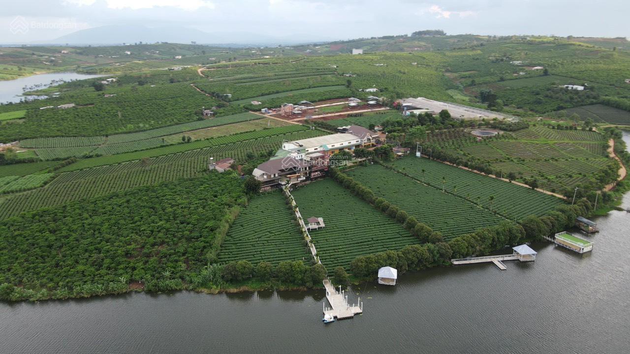 Chính chủ cần bán 4023m2 đất mặt hồ Long Đỉnh - mặt tiền đường nhựa trục chính Phúc Thọ