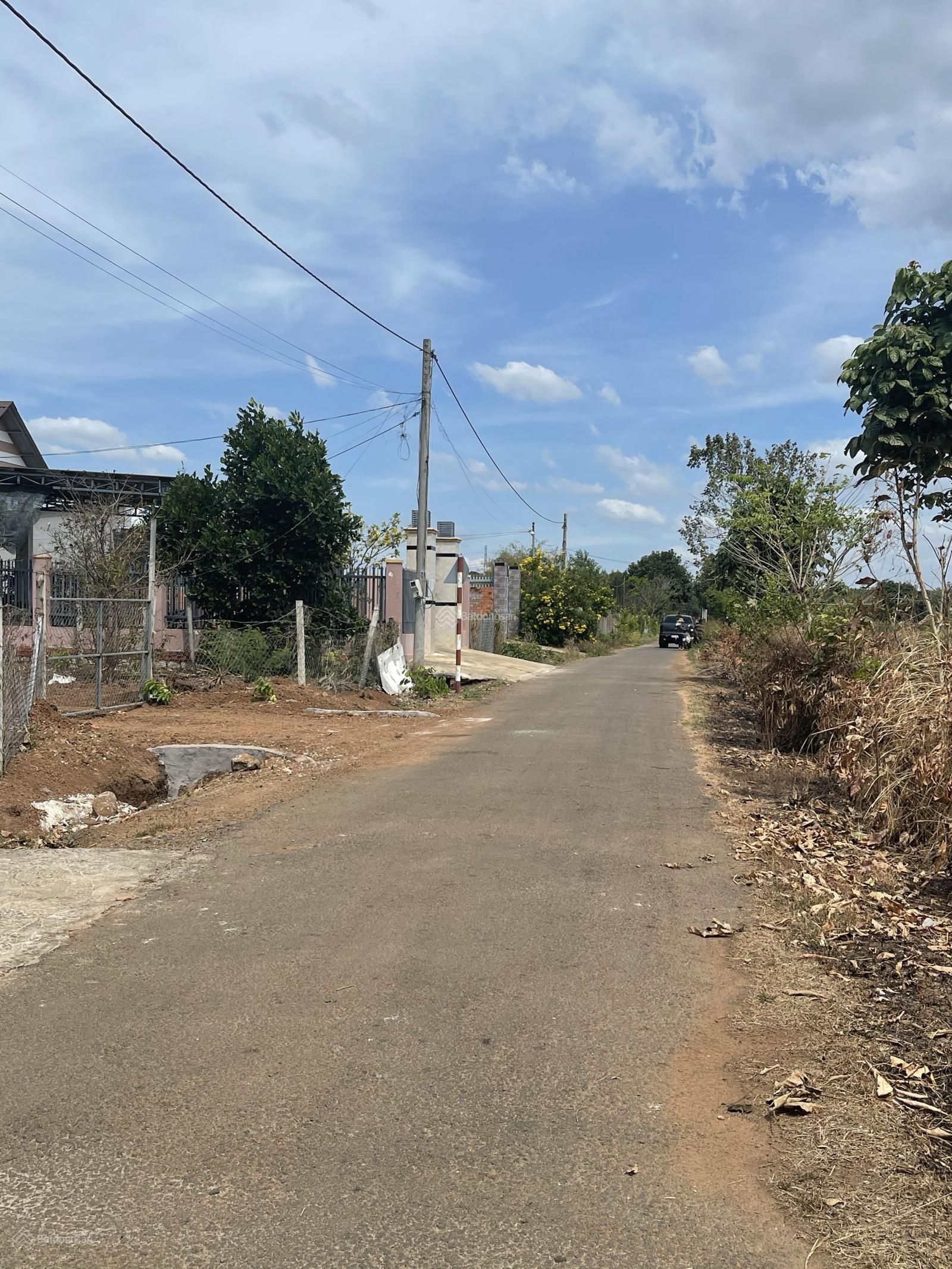 2351m2 nhà nguyên căn + vườn cây các loại rào xung quanh, đường nhựa view hồ đá bàng giá 5 tỷ 4