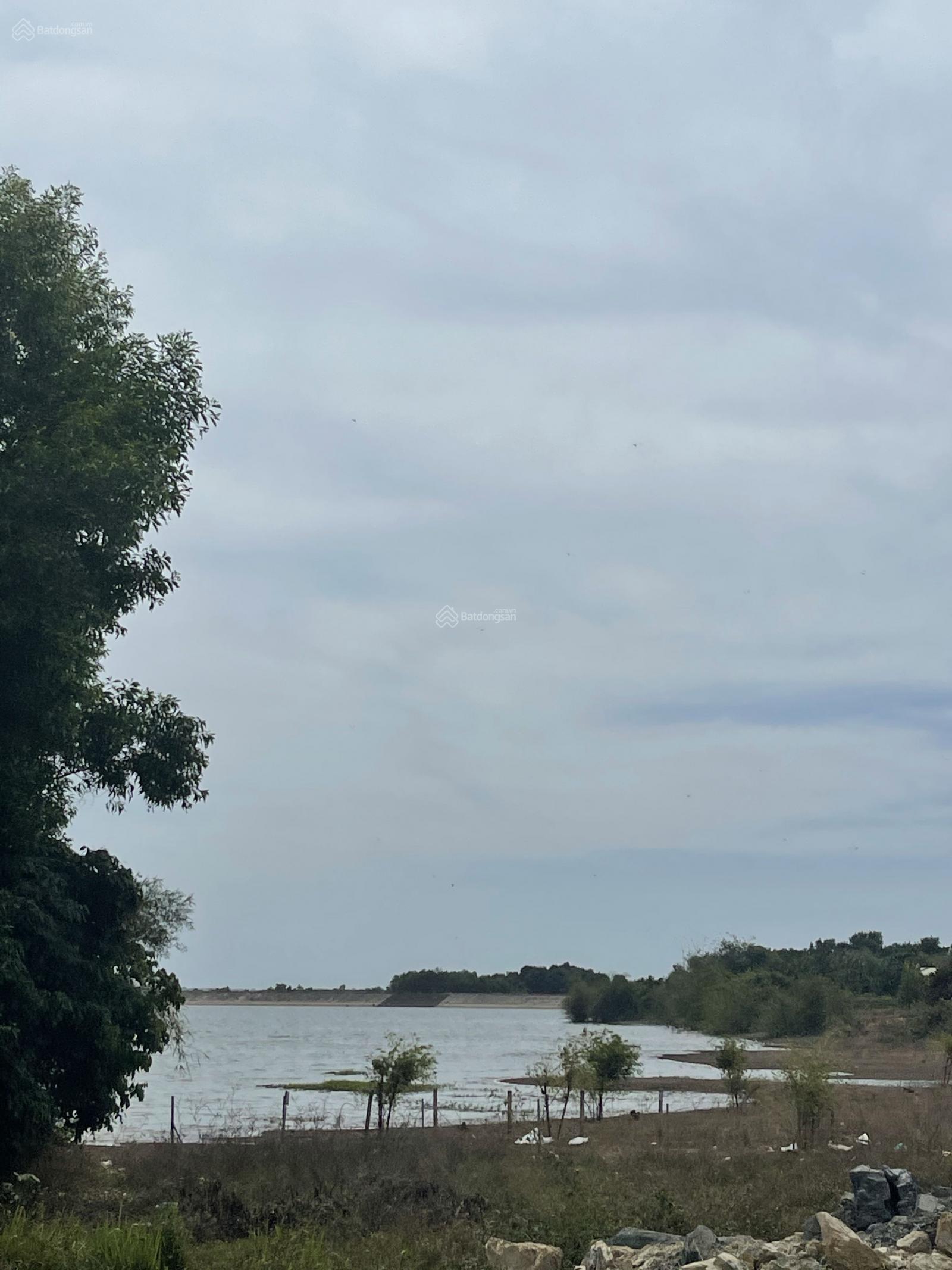 2351m2 nhà nguyên căn + vườn cây các loại rào xung quanh, đường nhựa view hồ đá bàng giá 5 tỷ 4