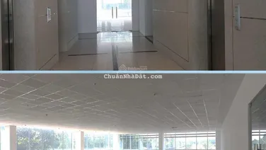 NBD Real chuyên cho thuê/mua bán tòa nhà văn phòng tại Bình Dương