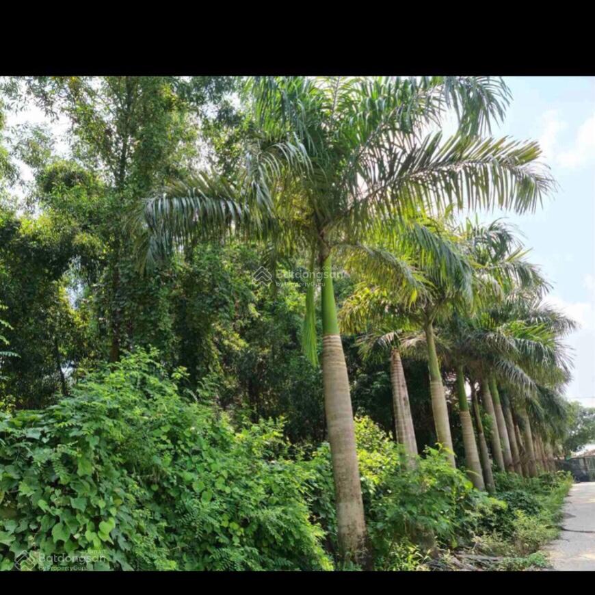 Chính chủ cần bán lô đất 3000m2 mặt tiền đường DT768 khu vực buôn bán sầm uất giá 55 tỷ