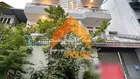 Bất ngờ chưa anh chị! Villa Thảo Điền lung linh có 30tr/ SD 350m2