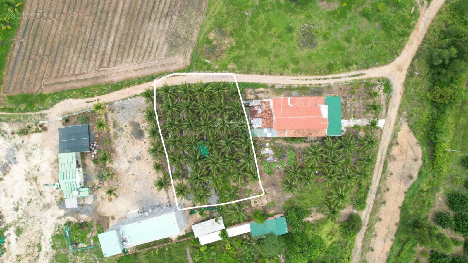 Bán lô đất ở ngã 4 Tân Sơn, Ninh Xuân, đối diện khu công nghiệp Hòa Phát