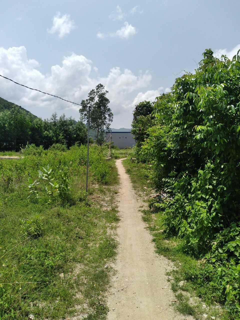 Đất Hòn Nghê Vĩnh Ngọc sát TĐC Hòn Thơm. Lô góc 2 mặt tiền