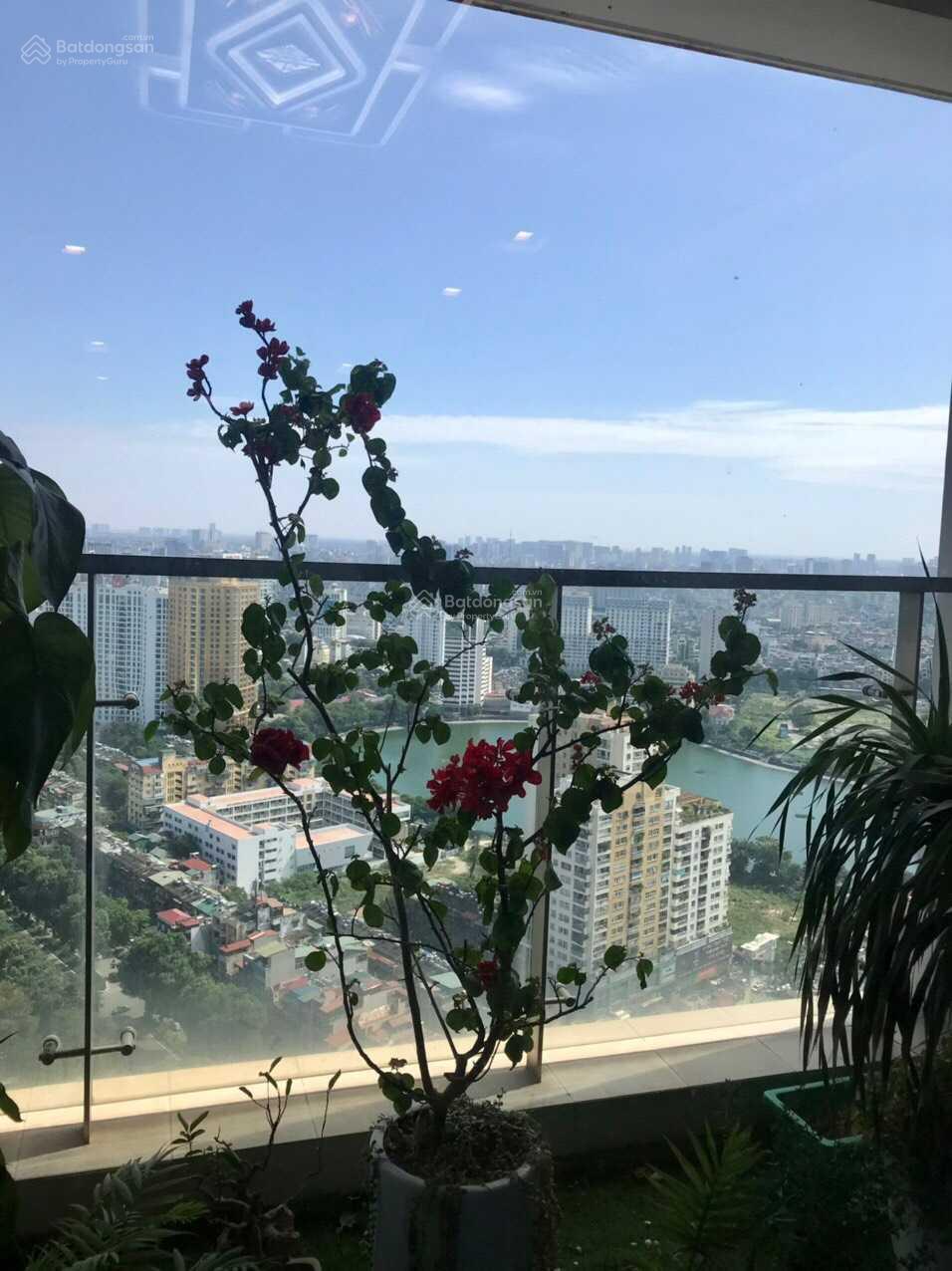 Vin liễu giai: Căn góc 120m2 view 4 hồ tại M3