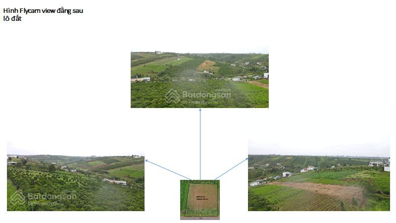 Chính chủ cần bán lô đất mặt tiền đường Tản Đà, thành phố Bảo Lộc. Có sẵn 250m2 thổ cư