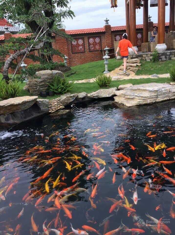 Kẹt tiền bán 5 lô đất ngay UBND, chợ Mỹ Hạnh Nam. DT 5x16. Giá 890 triệu. Sổ sẵn công chứng ngay