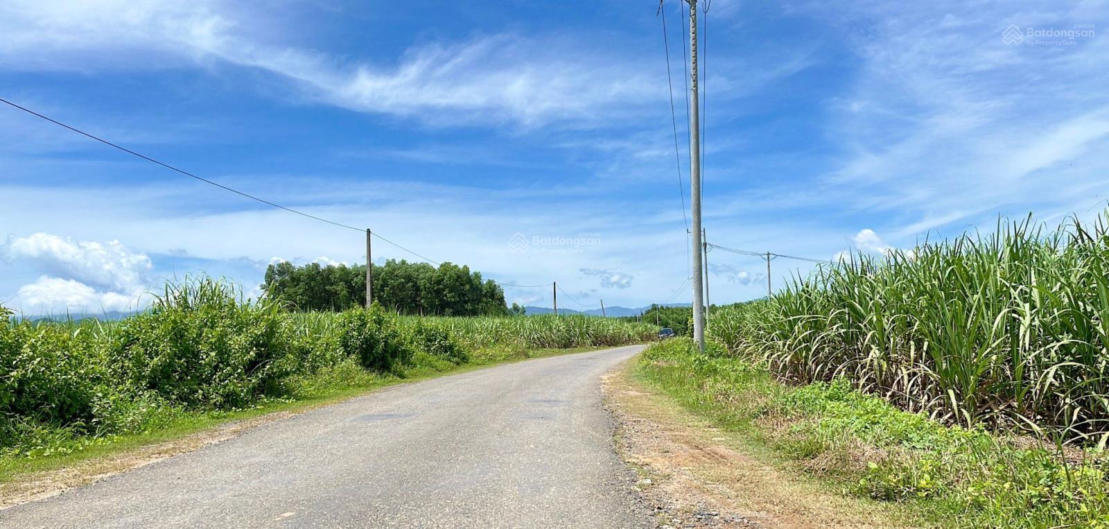 Đất dân cắt bán mặt tiền đường nhựa liên xã Diên Đồng diện tích 1.096m2 giá cắt lỗ chỉ 400 triệu/lô