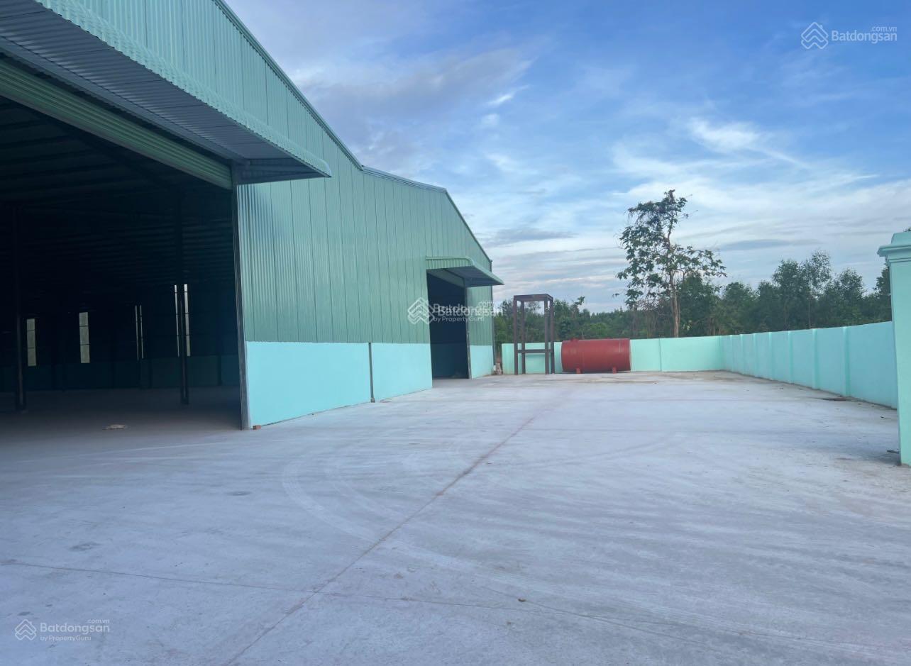 Cho thuê kho xưởng 3000m2 Thuận Giao - Thuận An