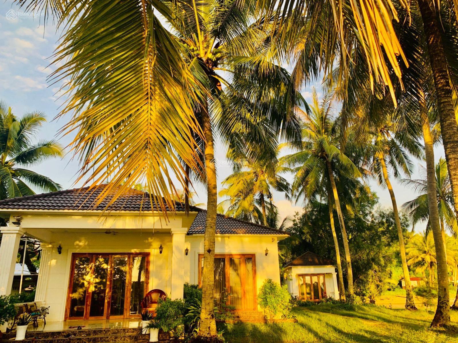Cần cho thuê lại homestay mặt biển Bãi Thơm - Phú Quốc Cần cho thuê lại homestay mặt biển Bãi Thơm - Phú Quốc