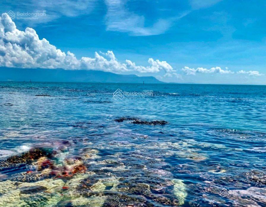 Cần cho thuê lại homestay mặt biển Bãi Thơm - Phú Quốc Cần cho thuê lại homestay mặt biển Bãi Thơm - Phú Quốc