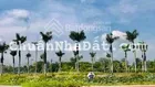 Bán nền LK7 - 3 đối diện công viên giá 13 tr/m2 - 0933 443 ***Tuấn chính chủ)