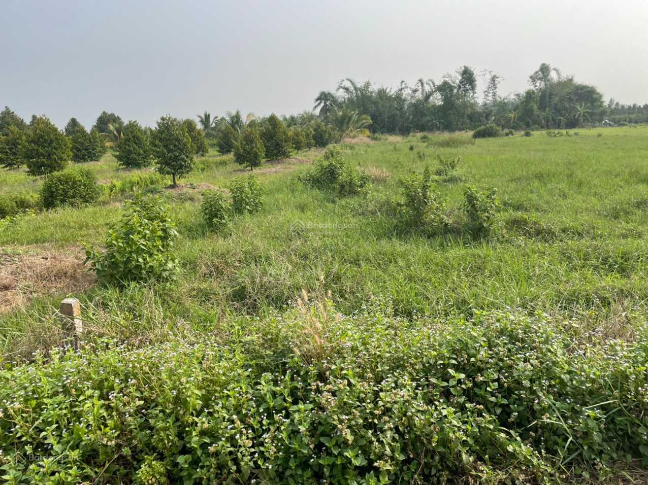 Đất hai mặt tiền 10x100m tại Đôn Thuận Trảng Bàng Tây Ninh. Chỉ 850 triệu