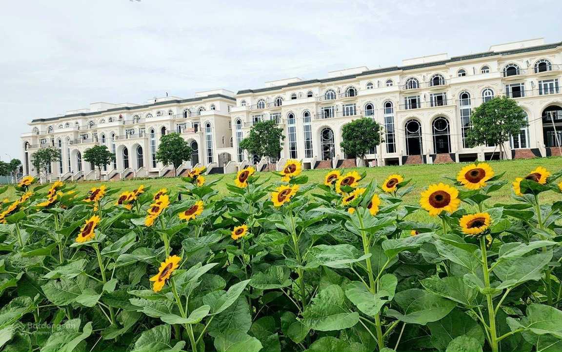 Bán gấp biệt thự Sunlake, Royal khu đô thị xanh Vạn Phúc City TP Thủ Đức 23 - 25 - 28 - 31T - 60 Tỷ