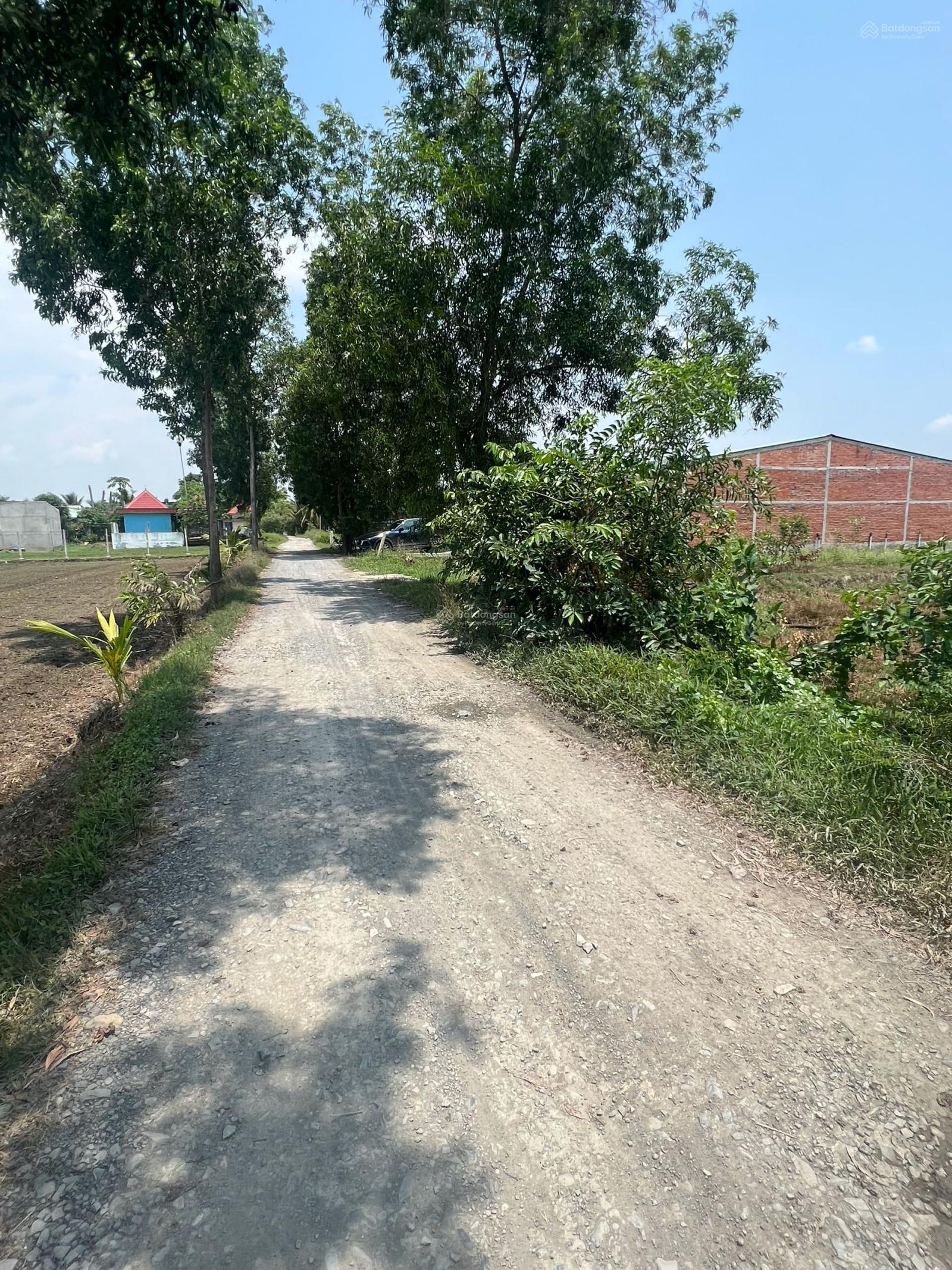 Bán đất cách thị trấn Đức Hoà 2km 10m x 50m giá 3.7tỷ