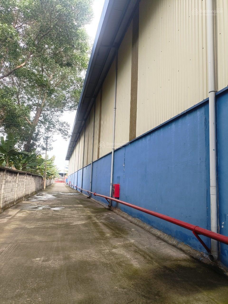 Cho thuê kho xưởng tại Dĩ An 5000m2 - 20.000m2
