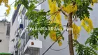 Duy nhất 1 căn! Tòa CCMN (90m2*8T*30PKK) gần hồ phố Triều Khúc Thanh Xuân HN. Doanh thu 1,2tỷ/năm
