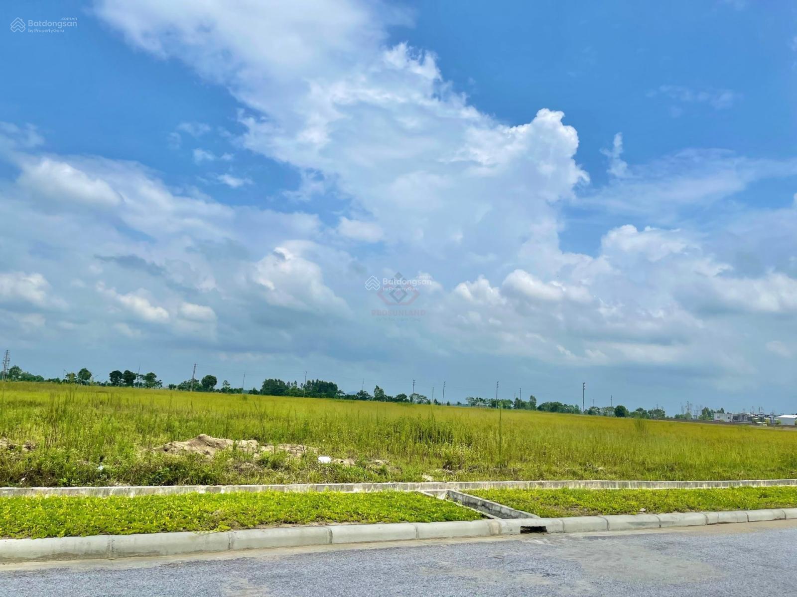 Chuyển nhượng gấp lô đất hiếm 1ha trong KCN Thuận Thành, Bắc Ninh - giá cực tốt Chuyển nhượng gấp lô đất hiếm 1ha trong KCN Thuận Thành, Bắc Ninh - giá cực tốt