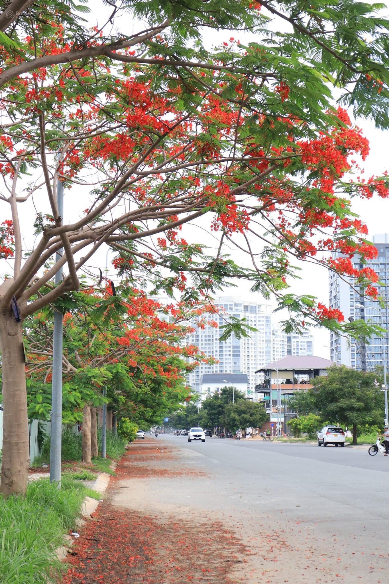 Cần bán tòa nhà ngay UBND Q. 2 sát TTTM, đang là văn phòng cho thuê DT 500m2 giá 195tỷ - 0906 768 ***