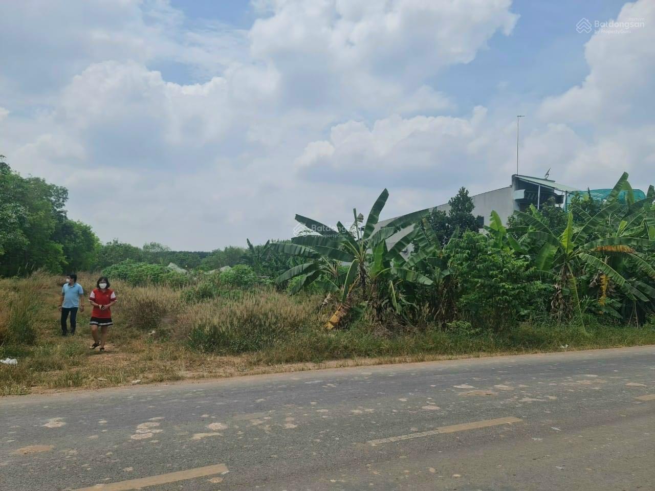 Bán đất xã Long Nguyên huyện Bàu Bàng tỉnh Bình Dương