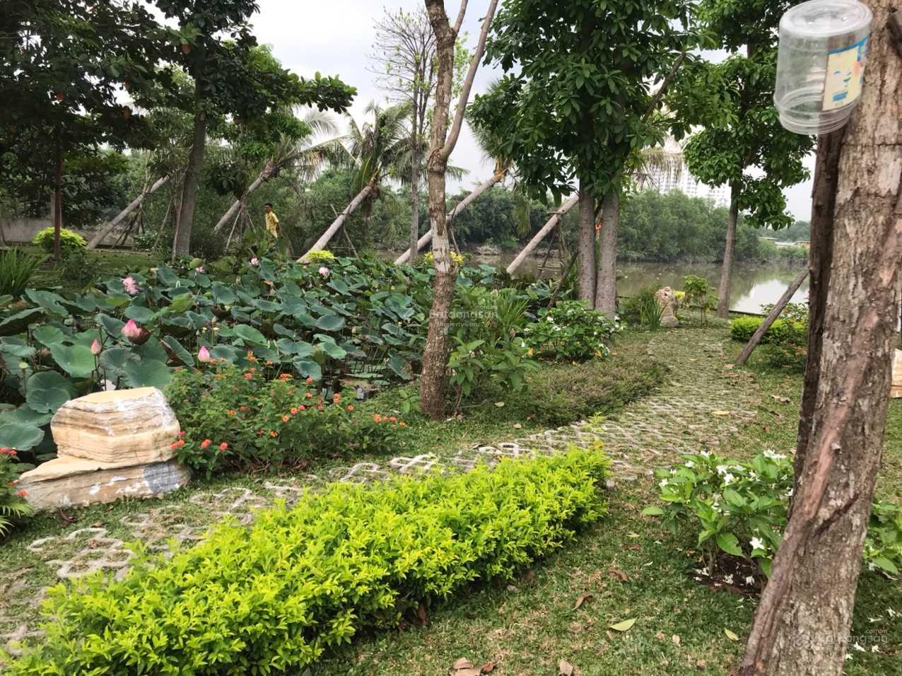 Bán đất 128.6m2, gần sông, ngay Quốc Lộ 50, ngang 7.8m dài 16.5m