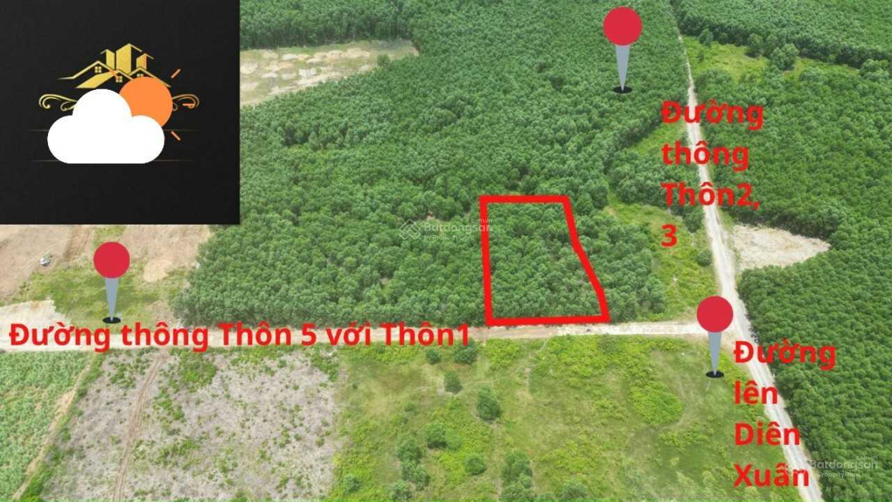 Bán đất Thôn 5, xã Diên Đồng, Huyện Diên Khánh, tỉnh khánh hòa