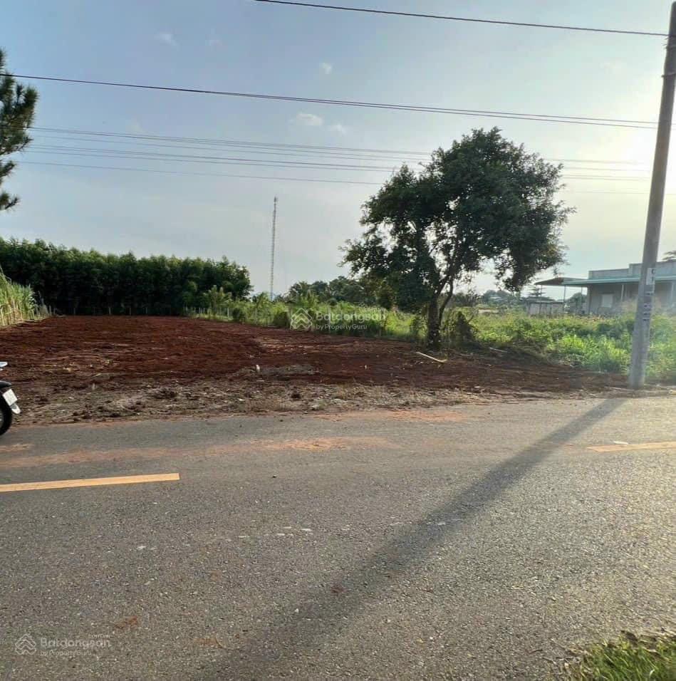 Đất mặt tiền Nguyễn Huệ thị trấn Đất Đỏ 707,8m2 Khu dân cư đông gần trường Học