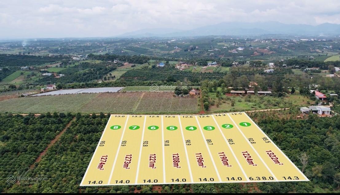 Giá chỉ 1.29 tr/ m2 đất có 200m2 thổ cư tại trung tâm 6 xã Tân Hà, Lâm Đồng, ngân hàng hỗ trợ vay Giá chỉ 1.29 tr/ m2 đất có 200m2 thổ cư tại trung tâm 6 xã Tân Hà, Lâm Đồng, ngân hàng hỗ trợ vay
