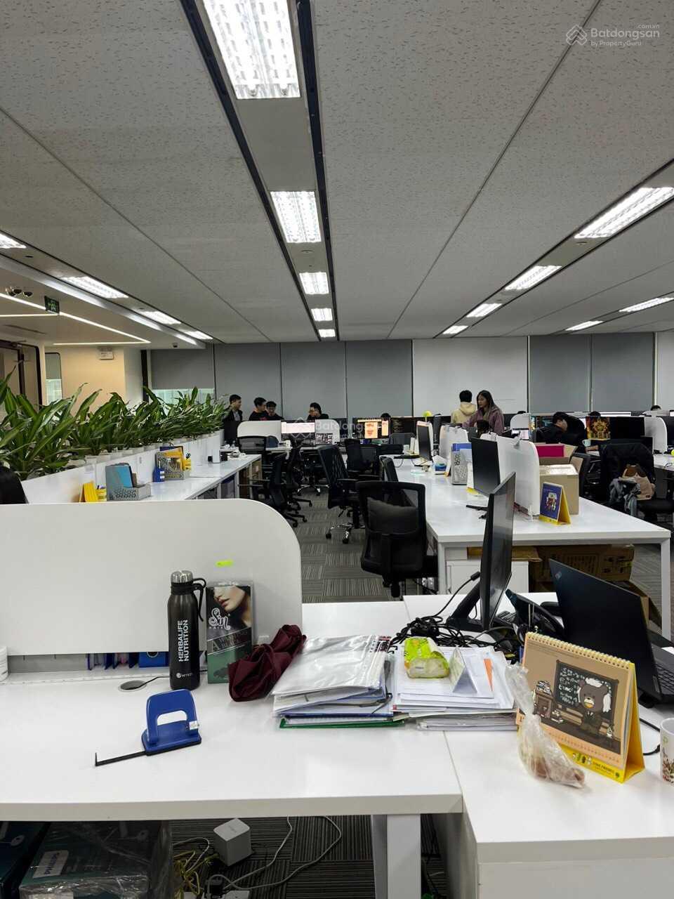 CĐT trực tiếp cho thuê văn phòng Charmvit, Trần Duy Hưng, 100m2 - 150m2 200m2, 300m2 sẵn nội thất CĐT trực tiếp cho thuê văn phòng Charmvit, Trần Duy Hưng, 100m2 - 150m2 200m2, 300m2 sẵn nội thất