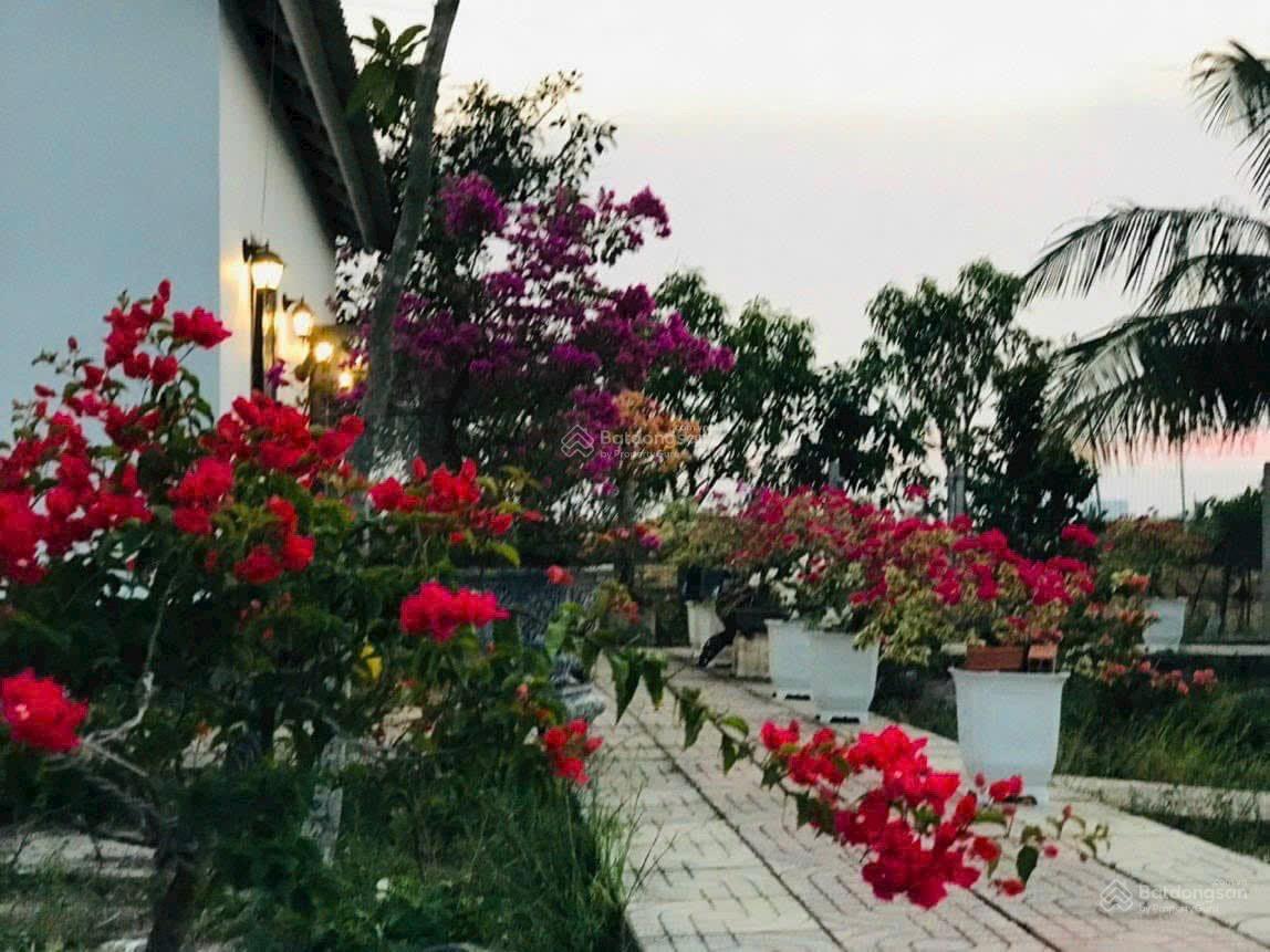 Kẹt tiền trả NH cần bán vườn tâm huyết, cách Q2 chỉ 3km. Gần 1000m2 giá chỉ 4,7 tỷ