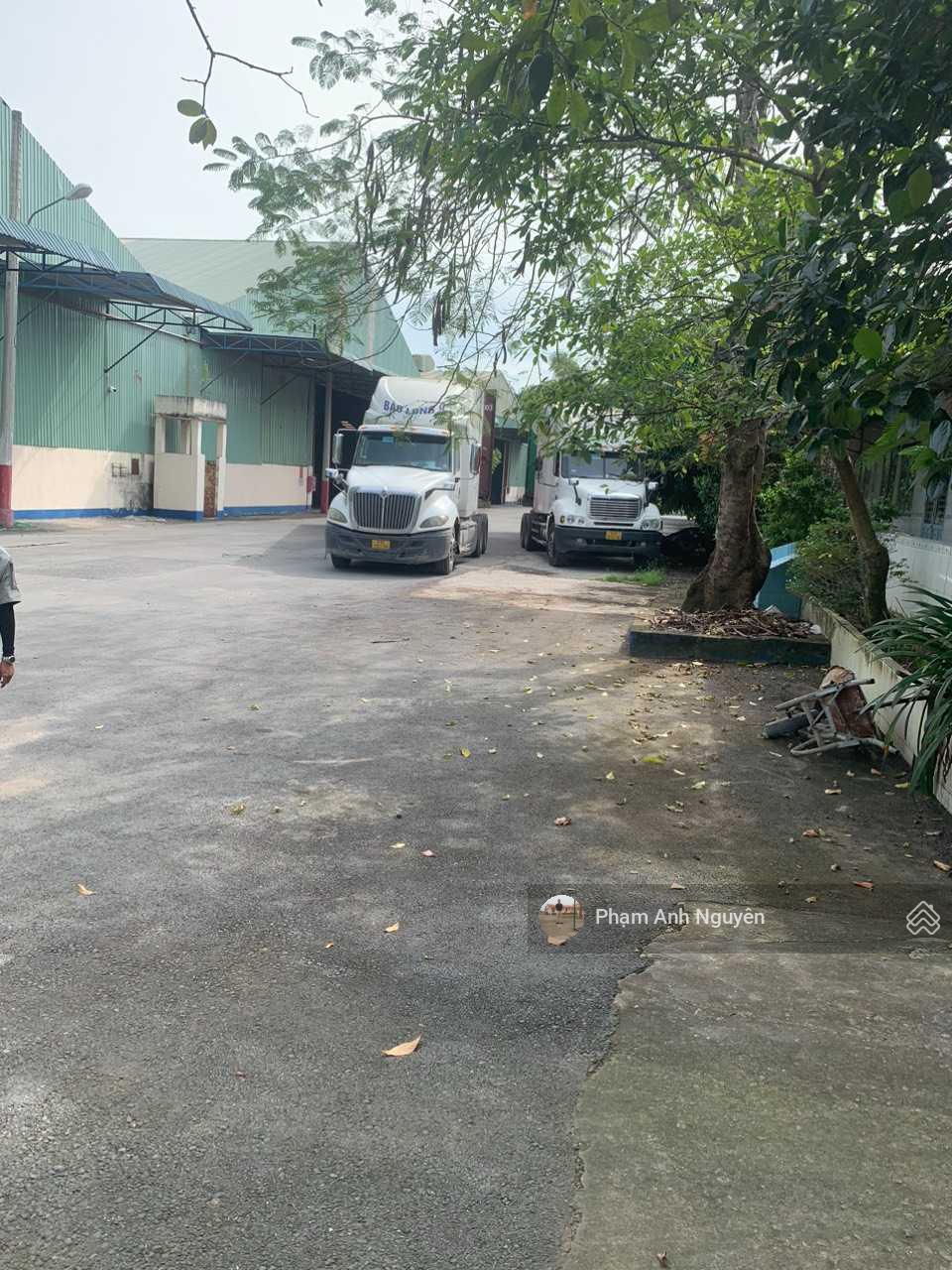 Bán xưởng 13.389m2 (115x124) gần ngay ĐH Việt Đức - đường nhựa rộng LH: 0933 359 ***