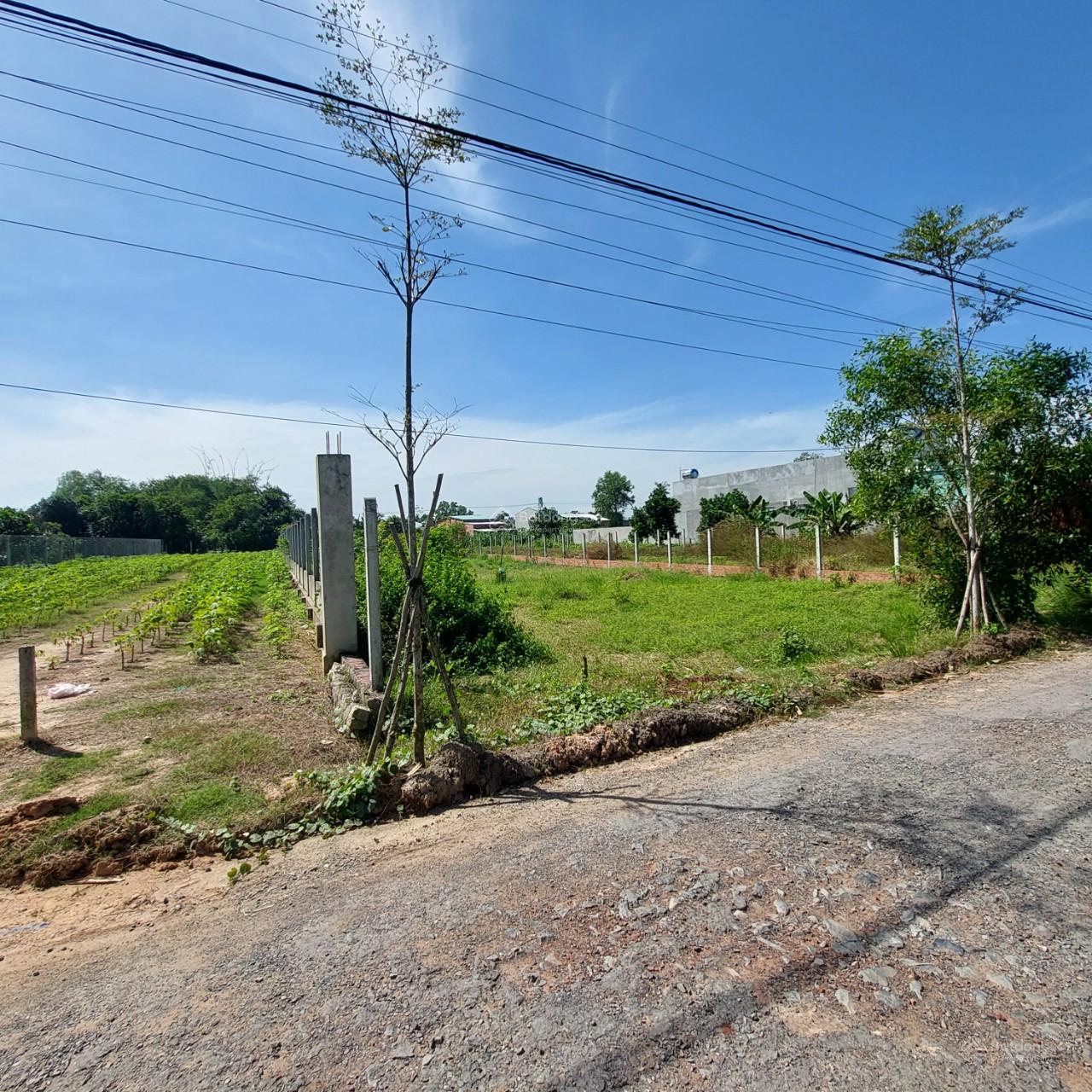 Chính chủ cần bán đất ở diện tích 881m2 xã Thanh Phước, huyện Gò Dầu, tỉnh Tây Ninh