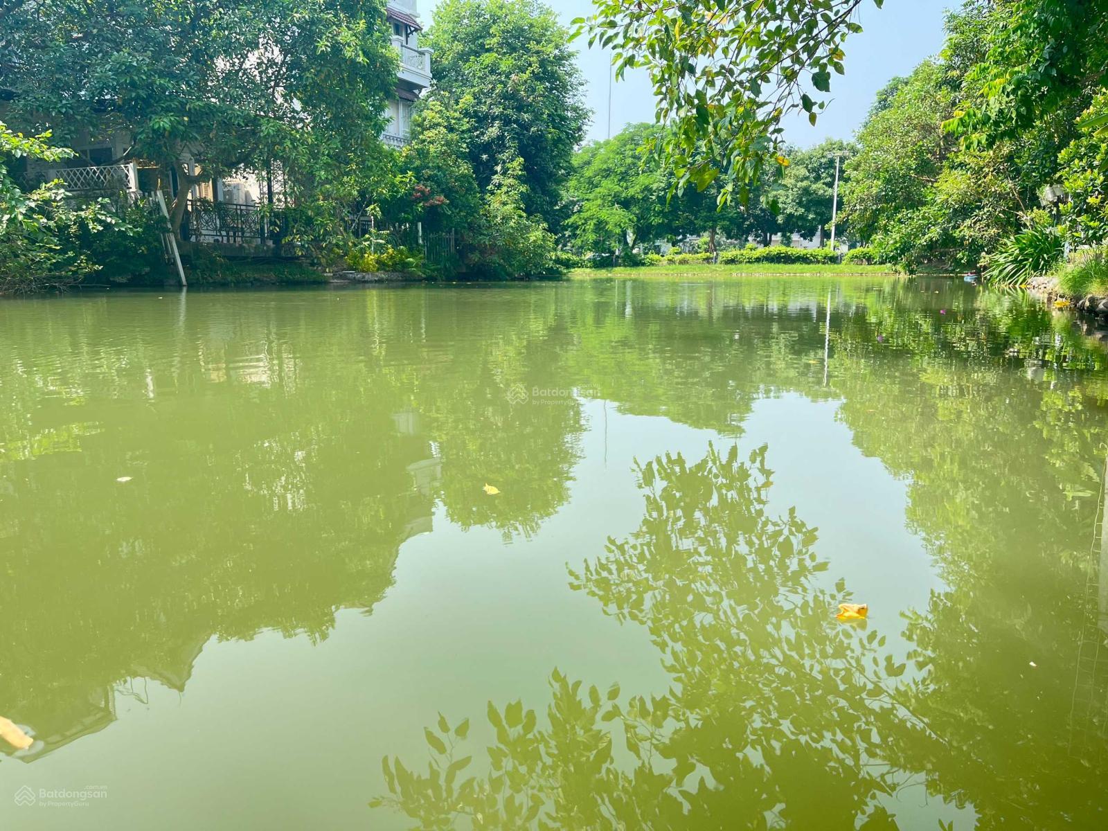 Bán gấp BT Hoa Phượng 01 - 28 hướng ĐN, 309.5m2 đất, XD 472m2 đơn lập view sông rộng, giá 95 tỷ