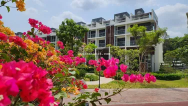 Rổ hàng The Glen Celadon City view hồ/ Mua trực tiếp từ CĐT/ Chiết khấu max 29%/ CondoVilla Tân Phú