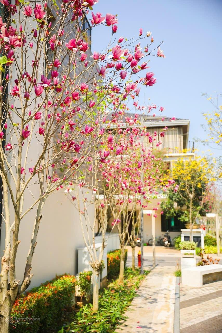 Độc quyền quỹ căn liền kề biệt thự ParkCity cần cho thuê với giá tốt nhất thị trường