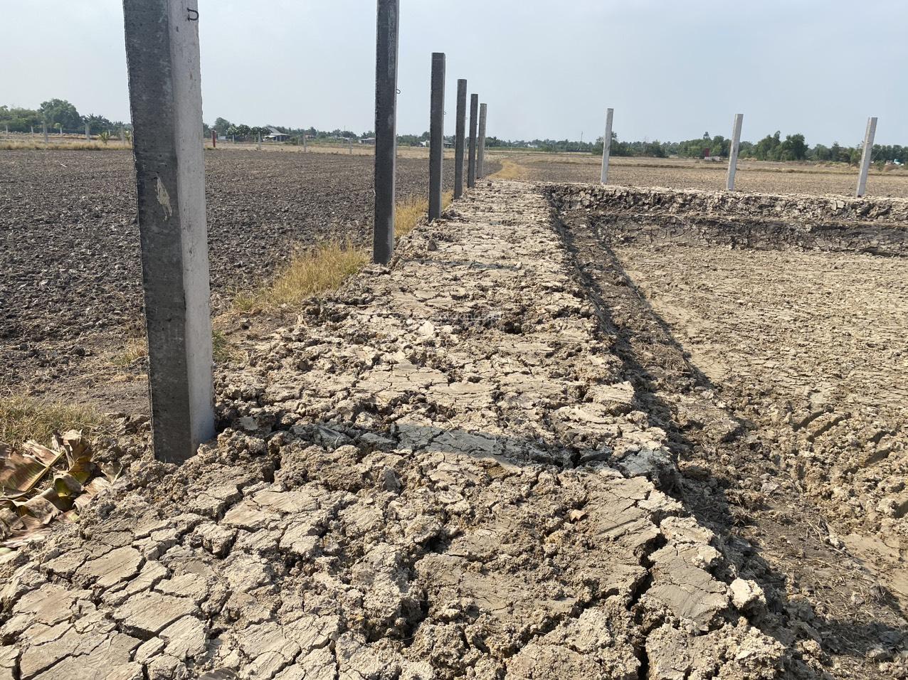 Chính chủ cần bán mảnh đất vườn MT đường D3 trung tâm Bình Chánh, thuận tiện di chuyển xe hơi