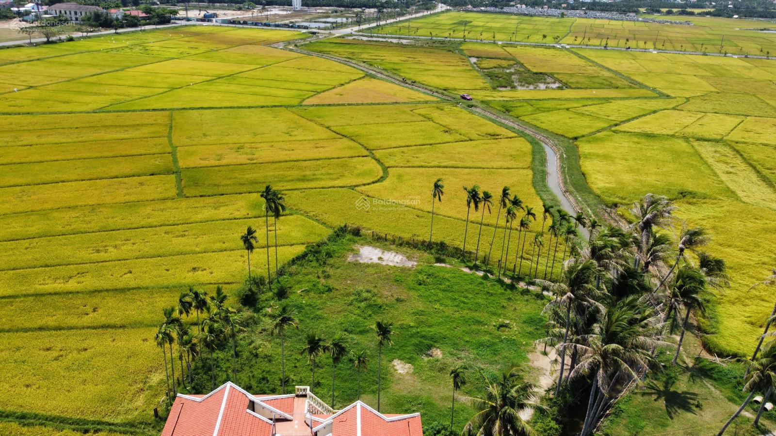 Bán thửa đất siêu hiếm, 3 mặt view lúa ở TP Hội An - diện tích rộng khó tìm - Có 1.049m2 đất ở