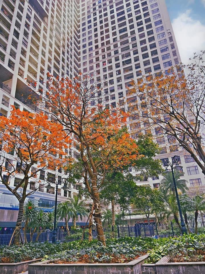 Bán cc 3PN phố Minh Khai Hà Nội cạnh Time City 130m2 6,6 tỷ Sunshine Garden Minh Anh 0944 394 ***