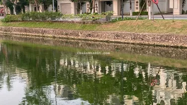 Cho thuê liền kề giá từ 10tr/tháng - hợp đồng 5 năm
