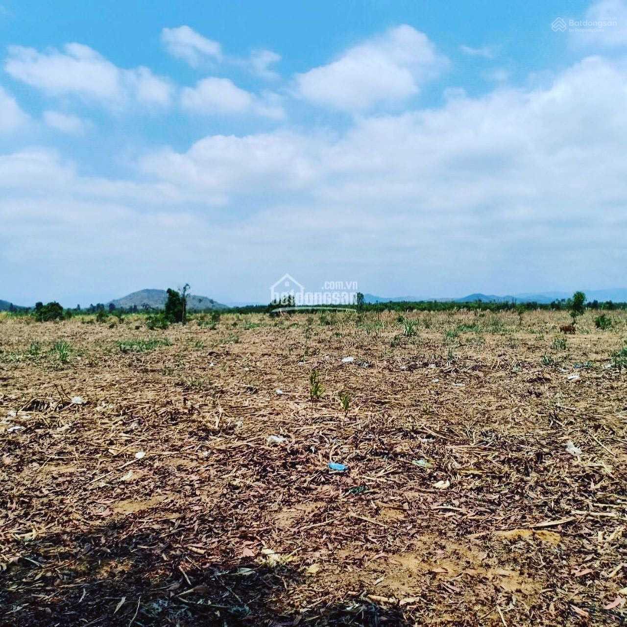 Tôi có miếng đất 1,8sào CLN cần bán, cách biển Bàu Trắng chỉ 1,8km, giá chỉ 243 triệu, oto tới đất